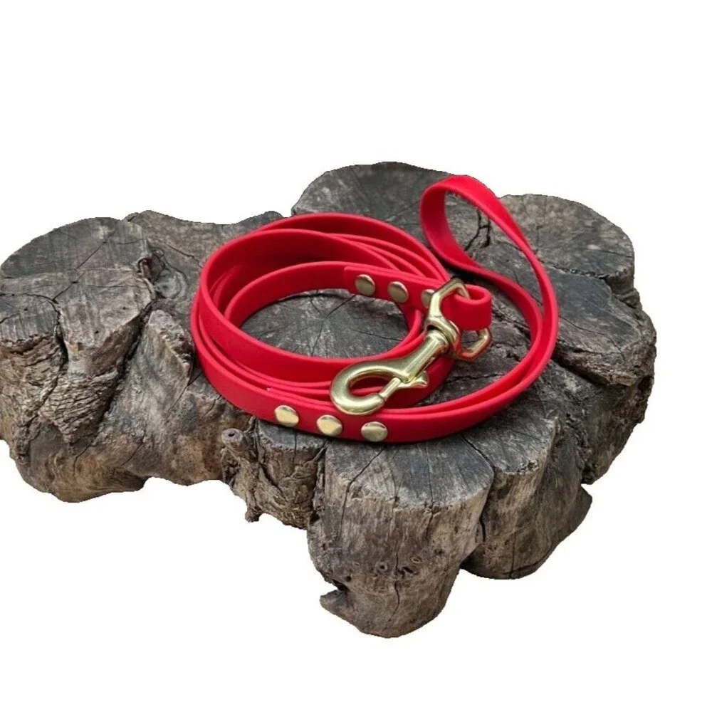 5’ Biothane Dog Leash - 1/2